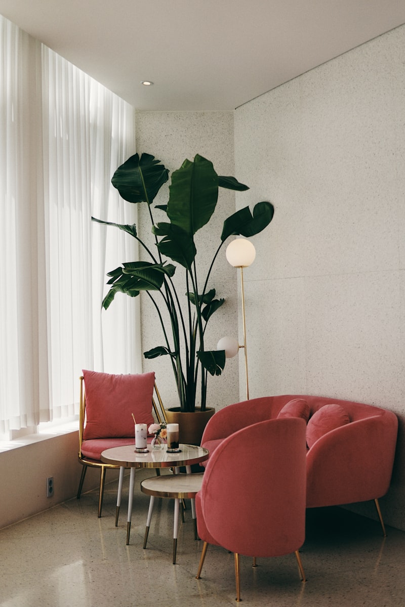 A warm, calm studio lounge with rosewood seating